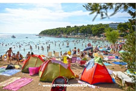 Kemp Rehut Murter Slanica wyspa Murter Chorwacja