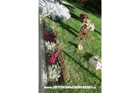 Apartamenty Anita foto 5