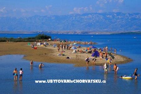 Apartamenty Pekić foto 3
