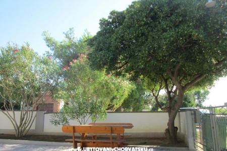 Apartamenty Roza foto 4