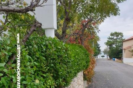 Apartamenty Ana foto 3