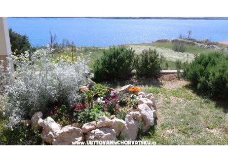 Apartamenty Ante foto 5