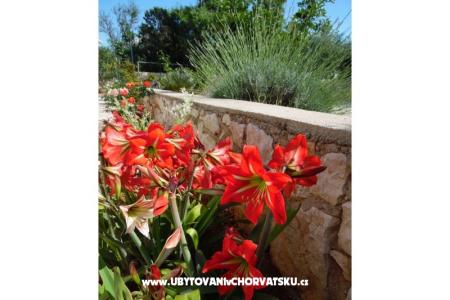 Apartamenty Dabo foto 5