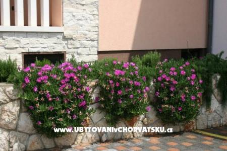 Apartamenty Grga foto 5