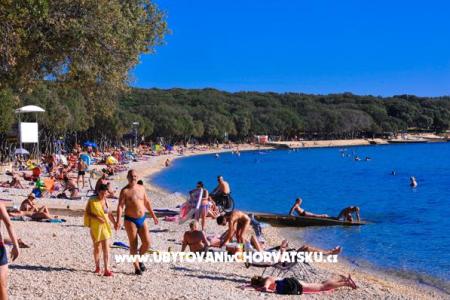 Apartamenty Milka  - island Pag foto 2