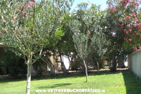 Apartamenty Suljic family foto 2