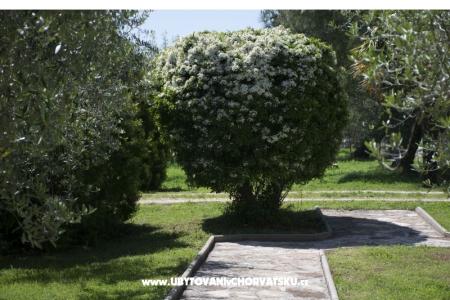 Sanja Apartamenty Novigrad foto 3