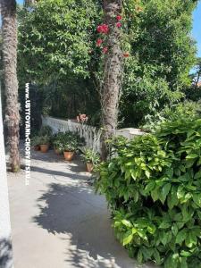 Apartamenty Baričević foto 5