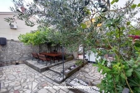 Apartamenty Pejaković na moru foto 2