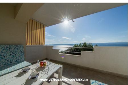 Apartamenty  LUNI foto 2