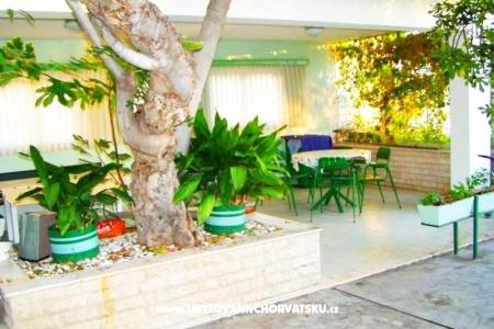 Apartamenty Ana foto 4