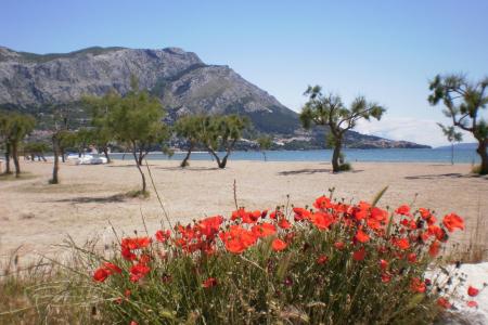 Apartamenty Danka Čudić foto 3