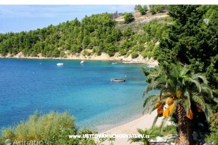 Apartamenty Dora foto 5