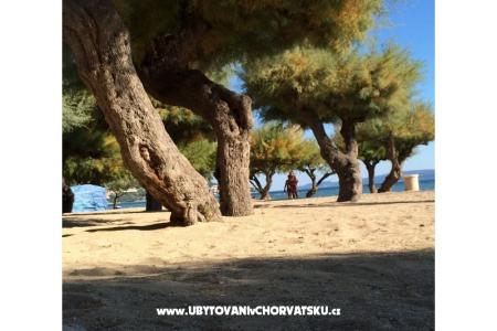 Apartamenty Ivanka Omis Chorwacja