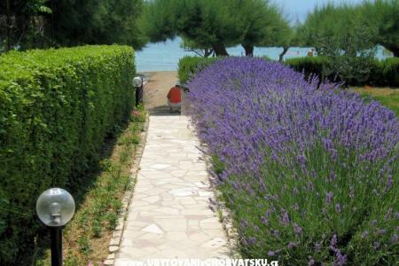 Apartamenty Lavanda foto 3