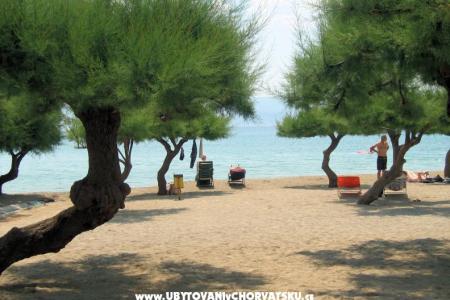 Apartamenty Lavanda foto 4