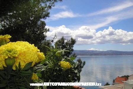 Apartamenty Tice foto 5