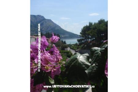 Apartamenty Vinka Saric foto 2