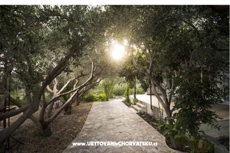 Apartament Toni foto 3