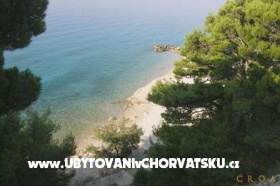 Pansion Šarić foto 4