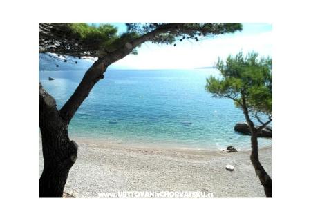 Apartamenty Punta foto 5