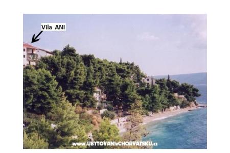 Vila ANI    foto 5