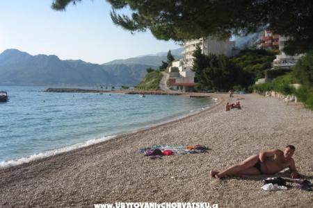 Apartamenty Perkušić foto 5
