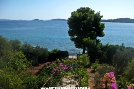 Apartamenty Šurjak foto 3