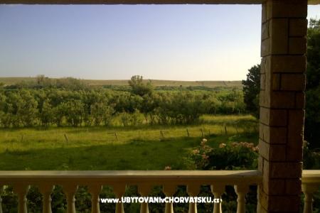Apartamenty Ćurić Povljana foto 3