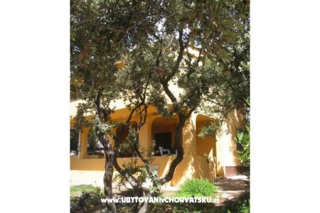 Apartamenty Marijana Mandre foto 3