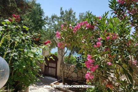 Apartamenty Milena i Robert foto 2