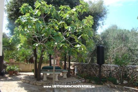 Apartamenty Mandre foto 2