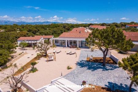 Holiday Dom Paladina foto 2