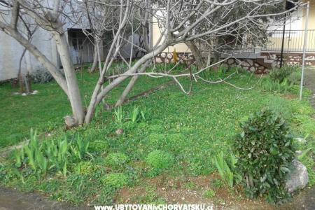 Apartament - Dom  Milka foto 4