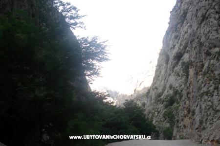 Apartamenty vesela foto 5