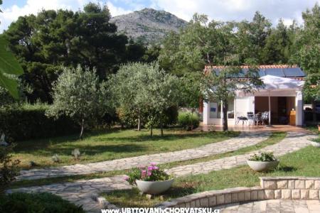 Villa Andreja - Apartamenty foto 4