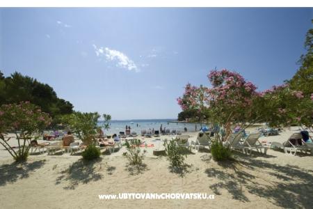 Apartamenty Jelena foto 5