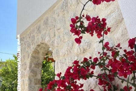 Apartamenty Ksenija Pakostane Chorwacja