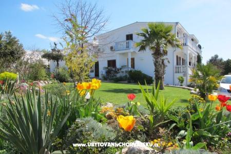 Apartamenty Mamić foto 3