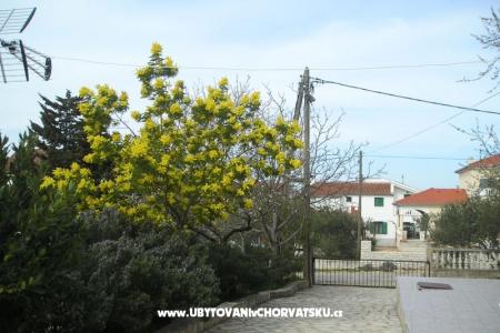 Apartamenty Mario foto 5