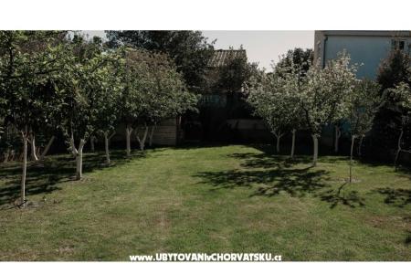 Apartamenty Ivišić foto 5