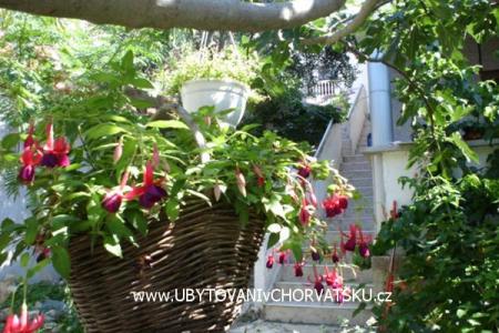 Apartamenty Sokalo-Petar foto 4