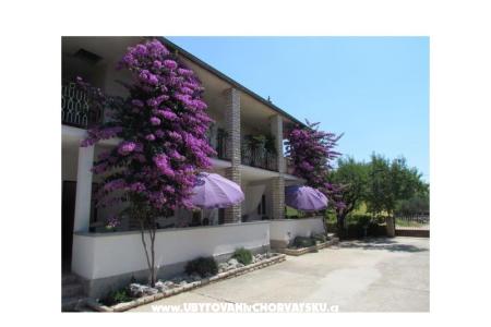 Apartamenty Pipi foto 3