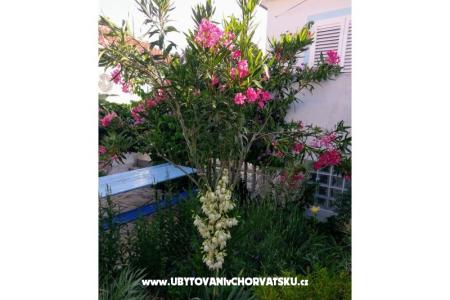 Apartamenty Marija-Tkon foto 3