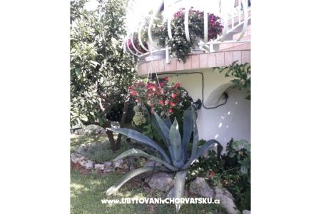 Apartamenty Lokva foto 4