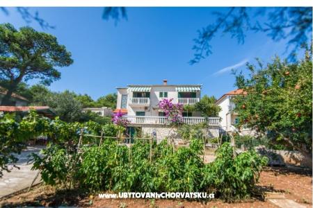 Apartamenty Dragica Pedisic foto 3