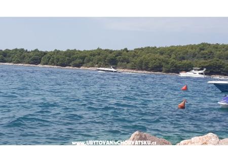 Apartamenty Ždrelac foto 4