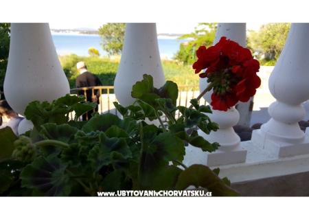 Apartamenty Nena foto 2