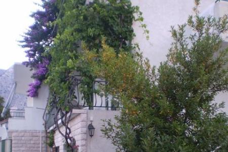 Apartamenty Antonela Drašnice Podgora Chorwacja