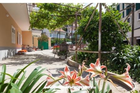 Apartamenty Lucijetić foto 3